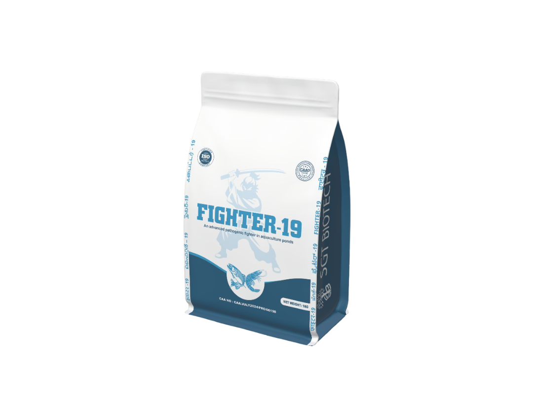 FIGHTER-19